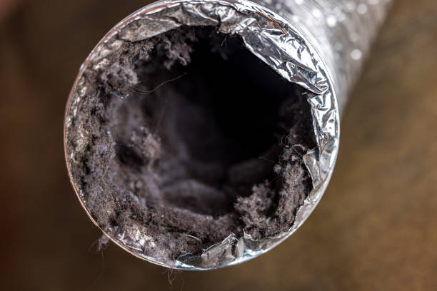 Best Ductwork Cleaning Services  in Salem, IN